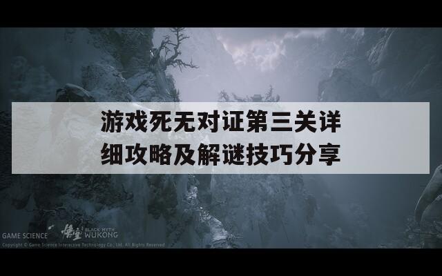 游戏死无对证第三关详细攻略及解谜技巧分享