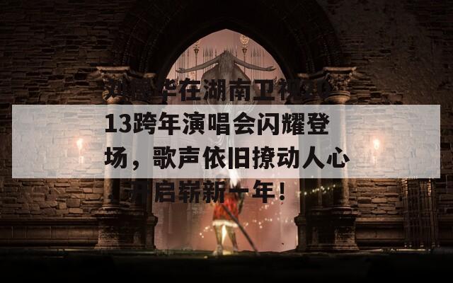 刘德华在湖南卫视2013跨年演唱会闪耀登场，歌声依旧撩动人心，开启崭新一年！
