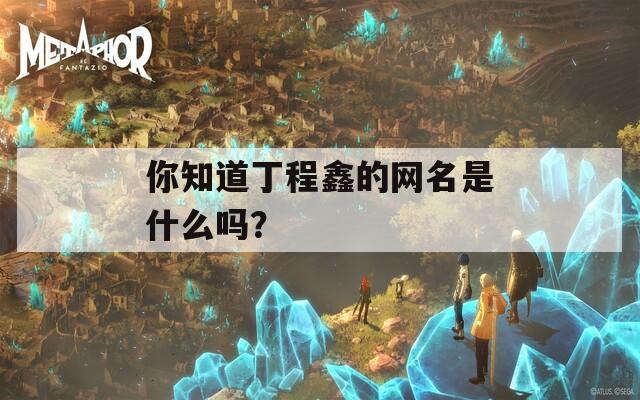 你知道丁程鑫的网名是什么吗？