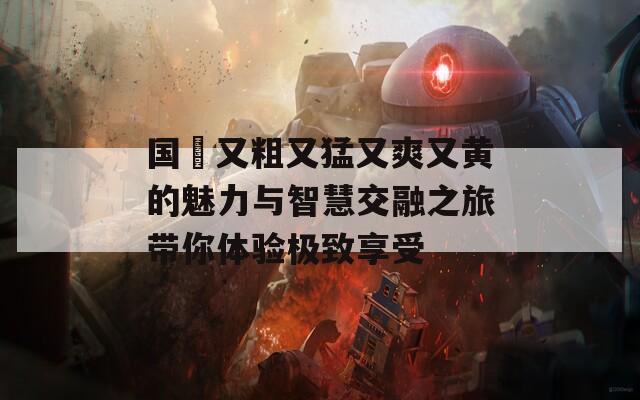 国產又粗又猛又爽又黄的魅力与智慧交融之旅带你体验极致享受