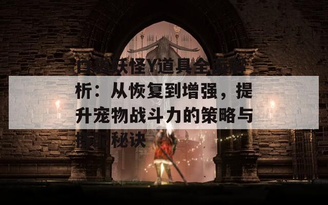 口袋妖怪Y道具全面解析：从恢复到增强，提升宠物战斗力的策略与搭配秘诀