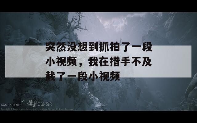 突然没想到抓拍了一段小视频，我在措手不及截了一段小视频