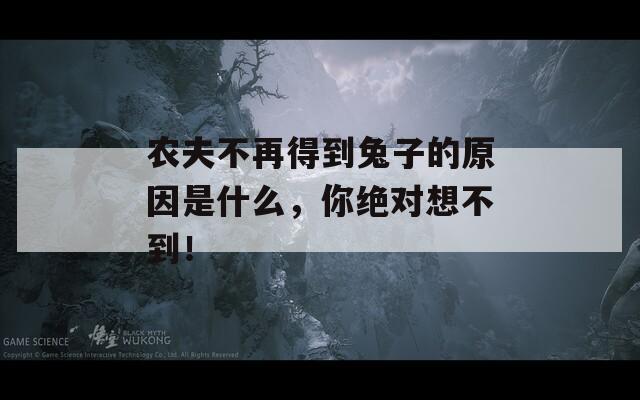 农夫不再得到兔子的原因是什么，你绝对想不到！