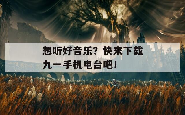 想听好音乐？快来下载九一手机电台吧！