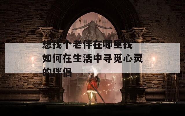 想找个老伴在哪里找 如何在生活中寻觅心灵的伴侣
