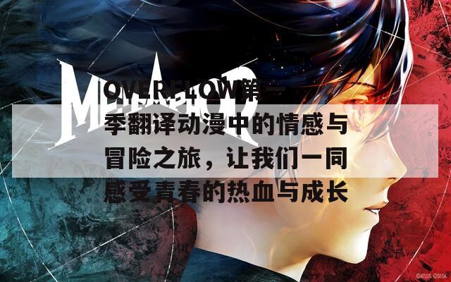 OVERFLOW第一季翻译动漫中的情感与冒险之旅，让我们一同感受青春的热血与成长