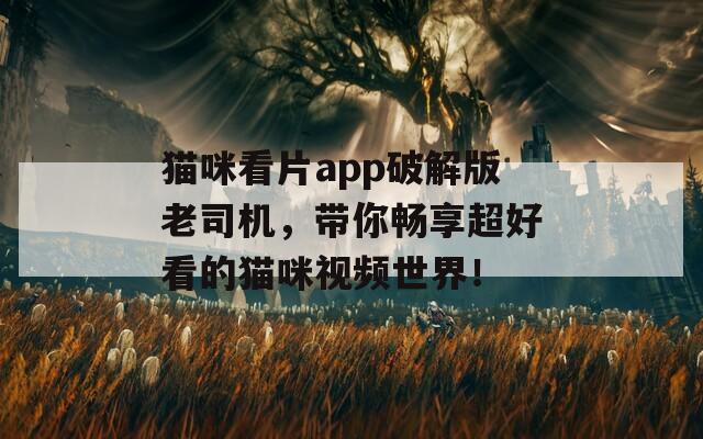 猫咪看片app破解版老司机，带你畅享超好看的猫咪视频世界！