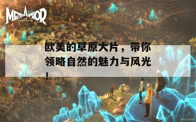 欧美的草原大片，带你领略自然的魅力与风光！