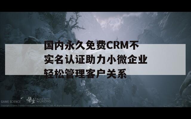 国内永久免费CRM不实名认证助力小微企业轻松管理客户关系