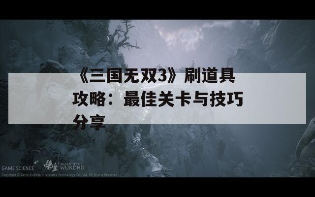 《三国无双3》刷道具攻略：最佳关卡与技巧分享