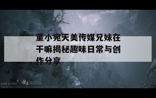董小宛天美传媒兄妹在干嘛揭秘趣味日常与创作分享