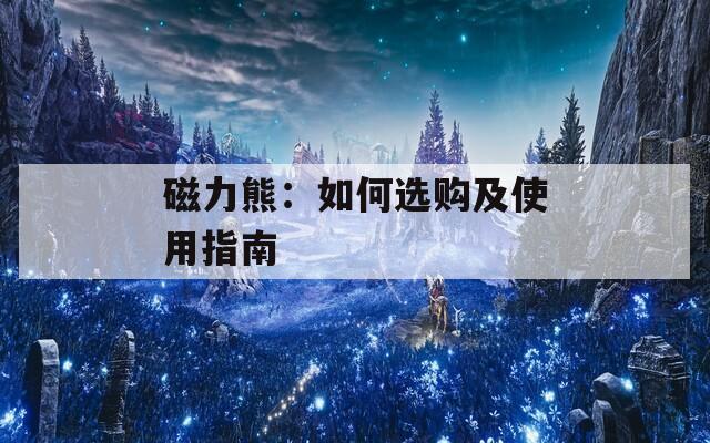 磁力熊：如何选购及使用指南
