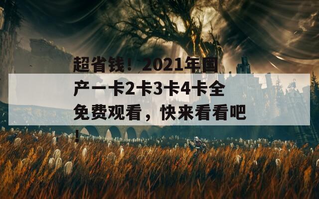 超省钱！2021年国产一卡2卡3卡4卡全免费观看，快来看看吧！