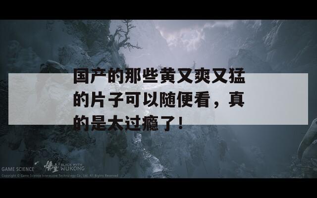 国产的那些黄又爽又猛的片子可以随便看，真的是太过瘾了！