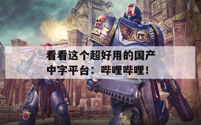 看看这个超好用的国产中字平台：哔哩哔哩！