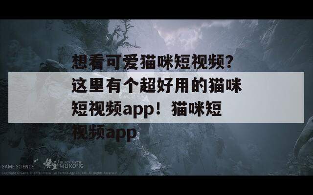 想看可爱猫咪短视频？这里有个超好用的猫咪短视频app！猫咪短视频app