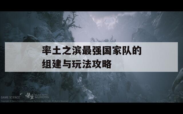 率土之滨最强国家队的组建与玩法攻略