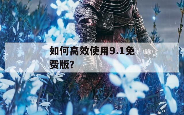 如何高效使用9.1免费版？