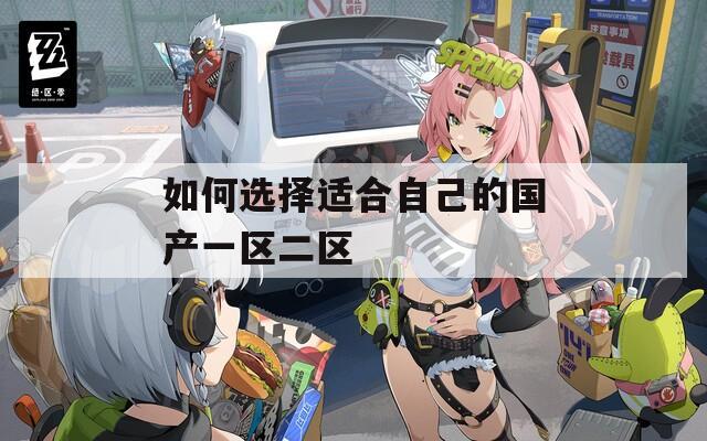 如何选择适合自己的国产一区二区