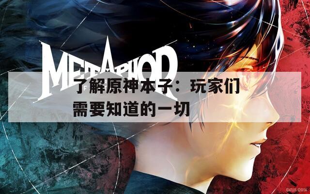 了解原神本子：玩家们需要知道的一切
