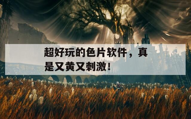 超好玩的色片软件，真是又黄又刺激！