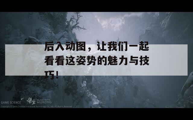 后入动图，让我们一起看看这姿势的魅力与技巧！