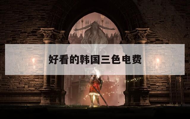 好看的韩国三色电费