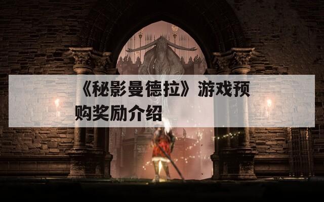 《秘影曼德拉》游戏预购奖励介绍