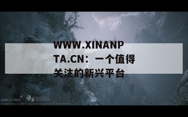 WWW.XINANPTA.CN：一个值得关注的新兴平台