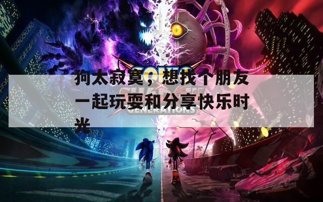 狗太寂寞，想找个朋友一起玩耍和分享快乐时光