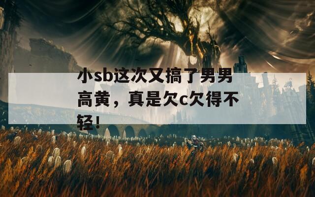 小sb这次又搞了男男高黄，真是欠c欠得不轻！