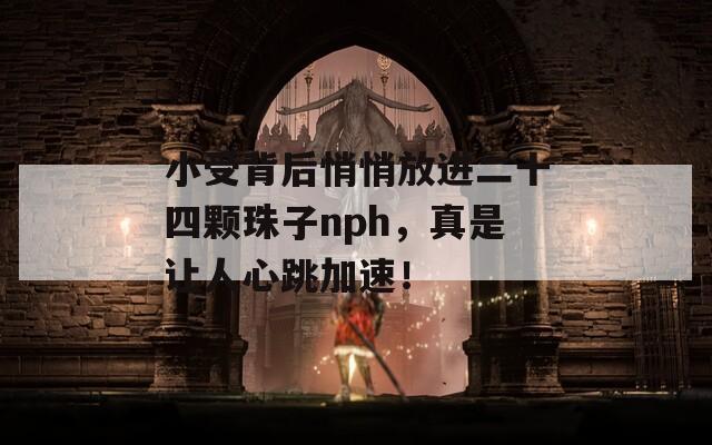 小受背后悄悄放进二十四颗珠子nph，真是让人心跳加速！