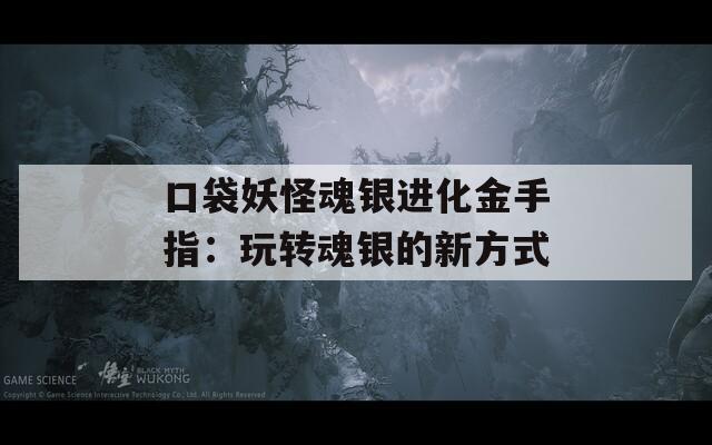 口袋妖怪魂银进化金手指：玩转魂银的新方式