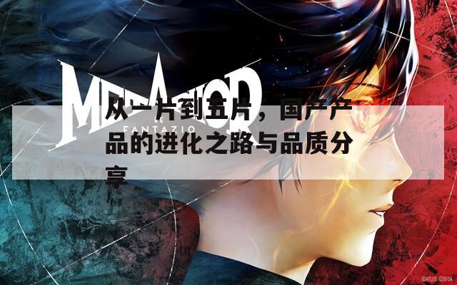 从一片到五片，国产产品的进化之路与品质分享