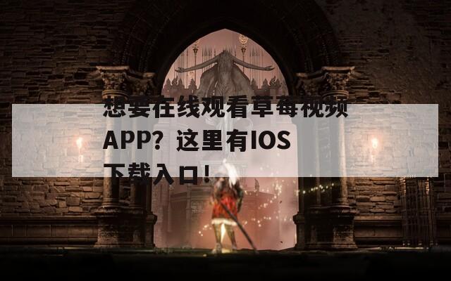 想要在线观看草莓视频APP？这里有IOS下载入口！