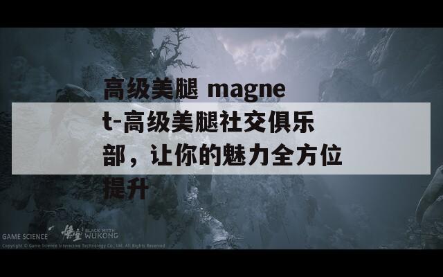 高级美腿 magnet-高级美腿社交俱乐部，让你的魅力全方位提升