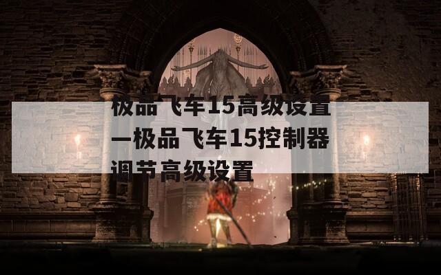 极品飞车15高级设置—极品飞车15控制器调节高级设置