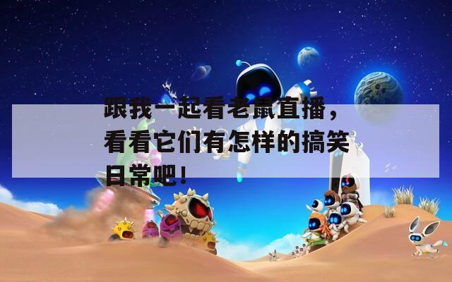 跟我一起看老鼠直播，看看它们有怎样的搞笑日常吧！