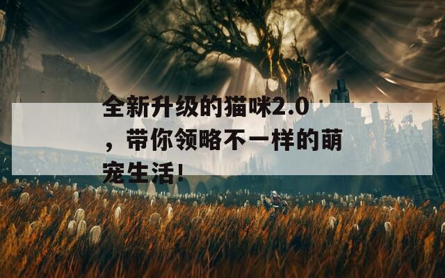 全新升级的猫咪2.0，带你领略不一样的萌宠生活！