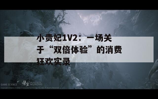 小贵妃1V2：一场关于“双倍体验”的消费狂欢实录