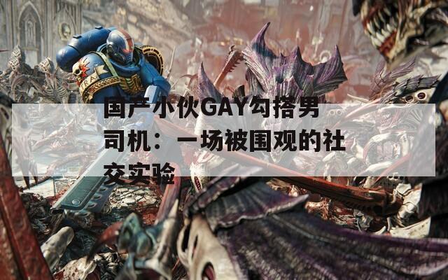 国产小伙GAY勾搭男司机：一场被围观的社交实验