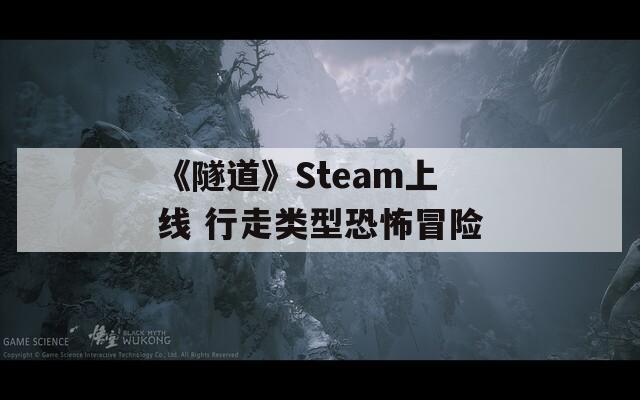 《隧道》Steam上线 行走类型恐怖冒险