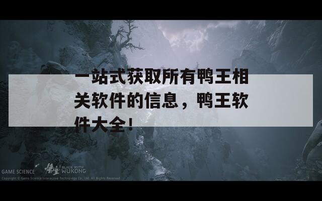 一站式获取所有鸭王相关软件的信息，鸭王软件大全！