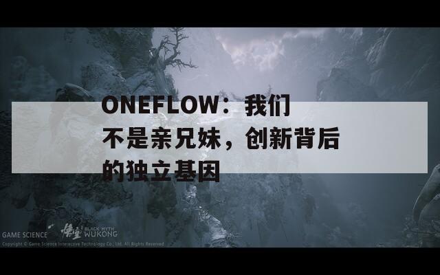 ONEFLOW：我们不是亲兄妹，创新背后的独立基因