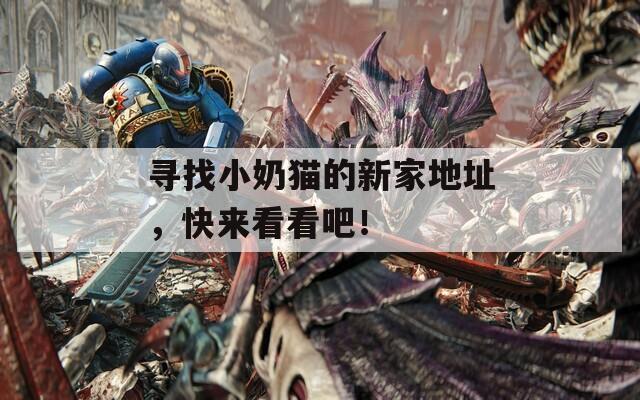 寻找小奶猫的新家地址，快来看看吧！