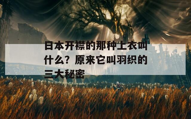 日本开襟的那种上衣叫什么？原来它叫羽织的三大秘密