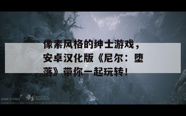 像素风格的绅士游戏，安卓汉化版《尼尔：堕落》带你一起玩转！