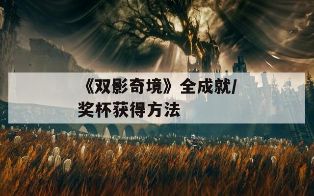 《双影奇境》全成就/奖杯获得方法