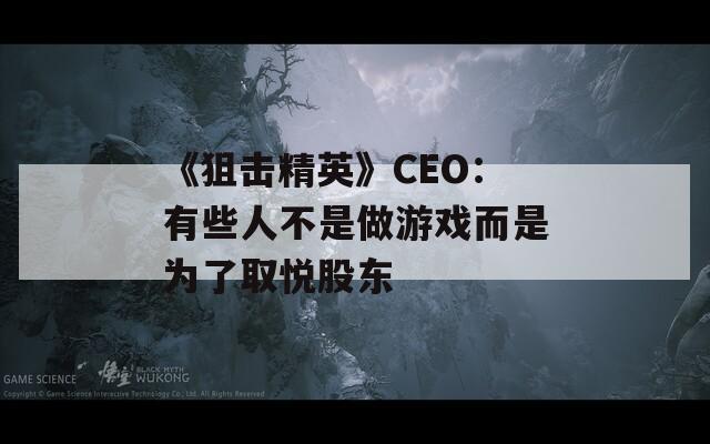 《狙击精英》CEO：有些人不是做游戏而是为了取悦股东