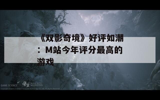《双影奇境》好评如潮：M站今年评分最高的游戏